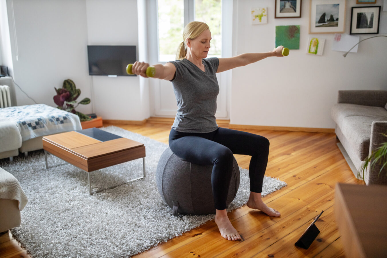 physical therapy home exercise program