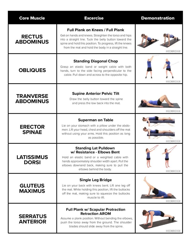 How to Train Your Core - BenchMark Physical Therapy