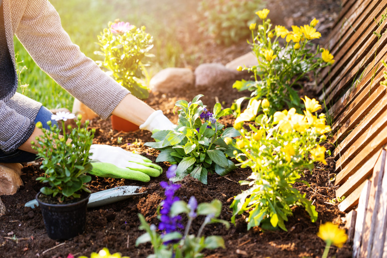 Spring Chores Burn Calories